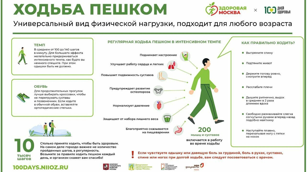 Посетить посещу правильно. Как правильно ходить. Ходьба польза инфографика. Посещу как правильно.