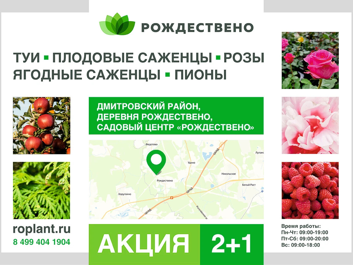 Питомник рождествено каталог. Питомник рождествено. питомник рождествено дмитровский. рождествено питомник растений.