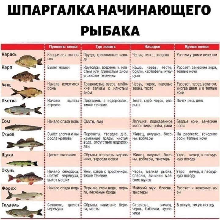 Какую рыбу можно ловить. Шпаргалка начинающего рыбака. Советы рыбакам. Полезная информация для рыбаков. Шпаргалки для рыбалки.