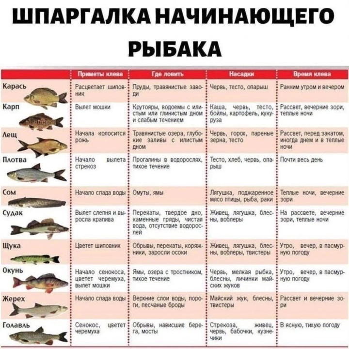 Карта поклевки рыбы