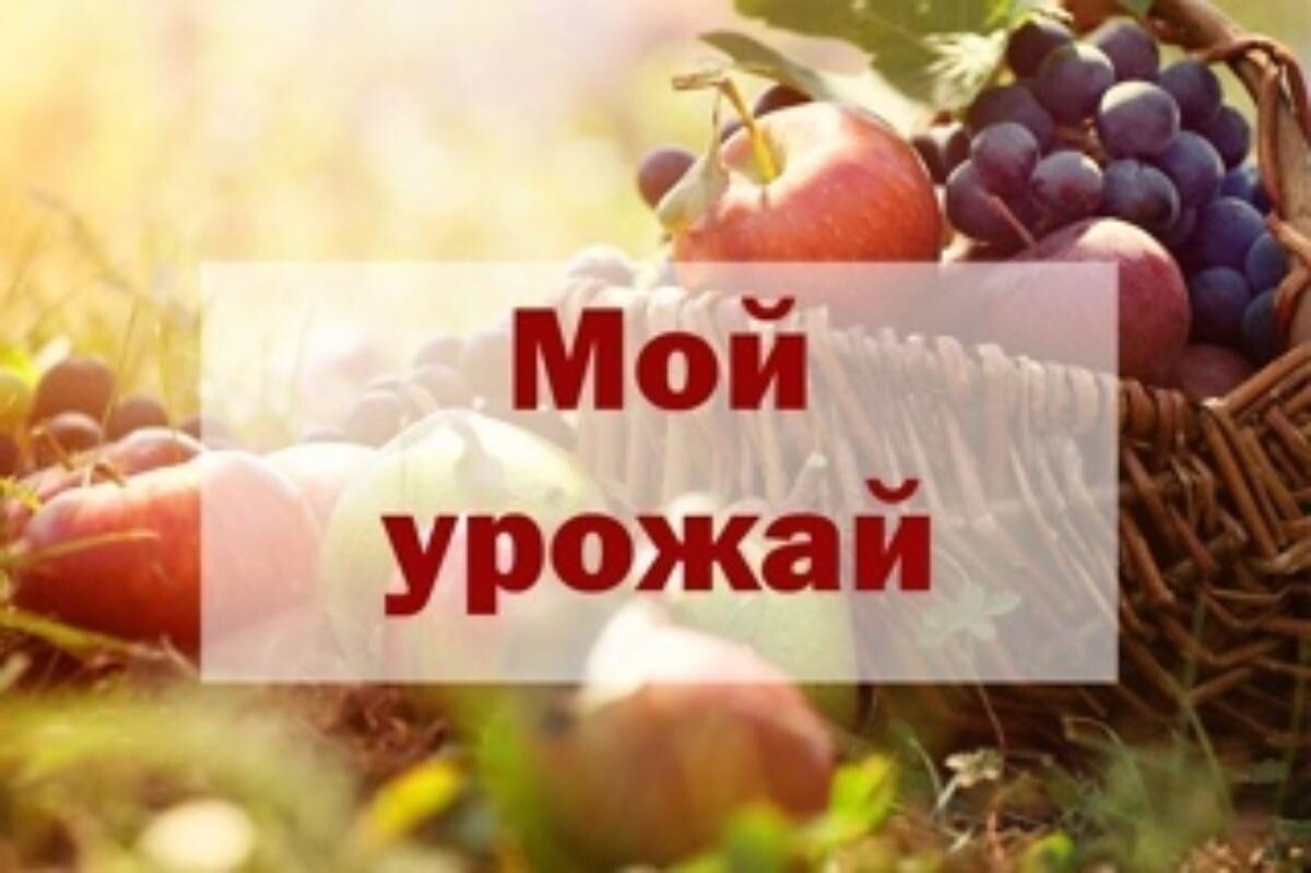 Конкурс наш урожай фотографии. Эмблема для детей урожай. Фермер с урожаем. Товары для сада и огорода. Праздник урожая.