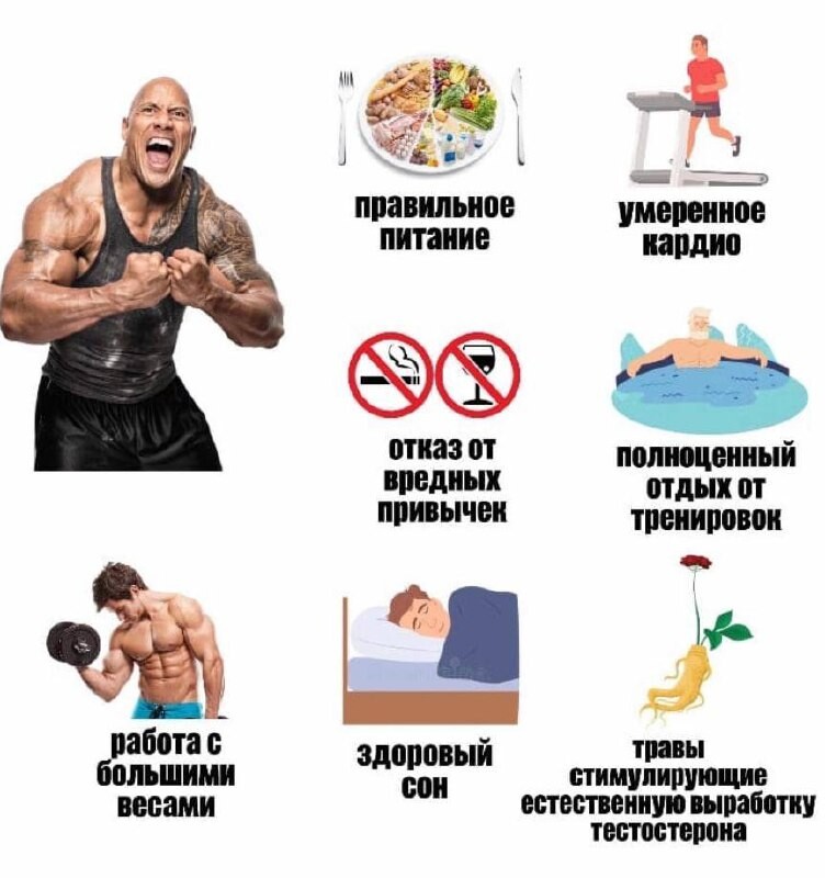 Тренировки повышающие тестостерон. Силовые тренировки и тестостерон разница. Упражнения для поднятия тестостерона. Тренировки повышающие тестостерон. Тестостерон и тренировки.