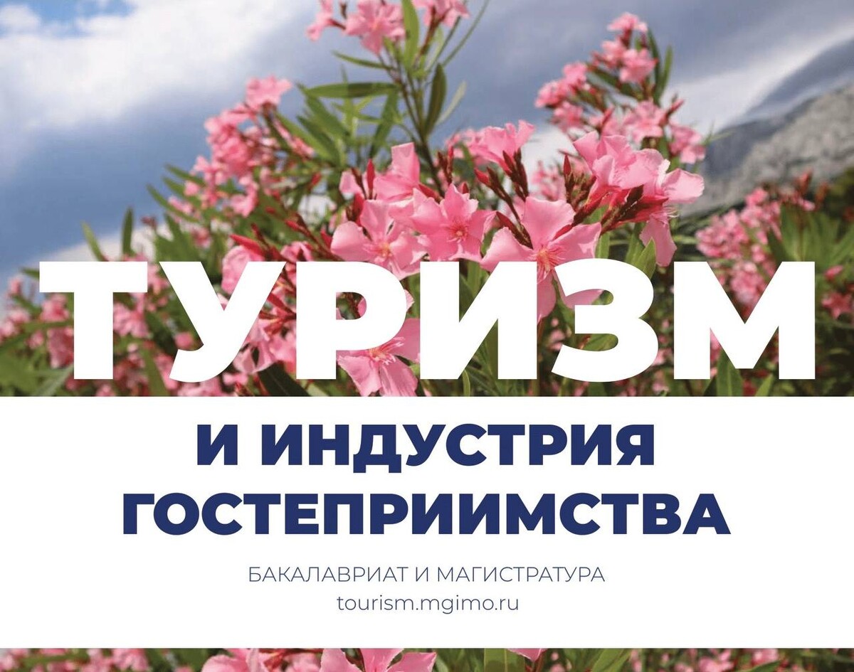 программа туризм и индустрия гостеприимства. туризм и индустрия гостеприимства национальные проекты россии. программа туризм и индустрия гостеприимства. осиг. структура индустрии гостеприимства.