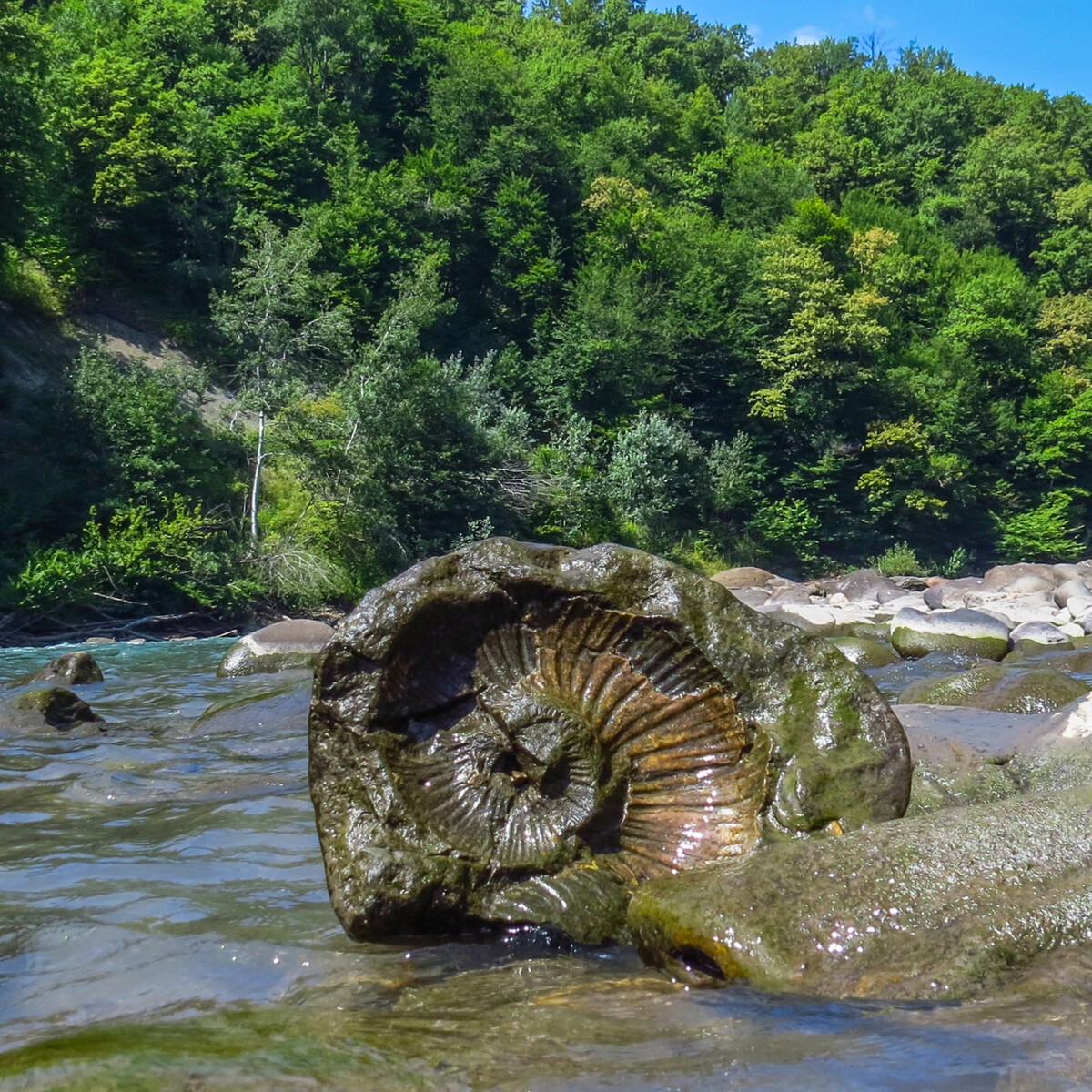 река белая в каменномостском