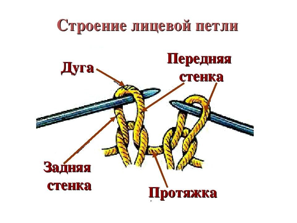 Две лицевые. Лицевые и изнаночные петли спицами для начинающих. Строение петли вязание спицами. Вывязывание лицевой петли за переднюю стенку. Строение лицевой петли.