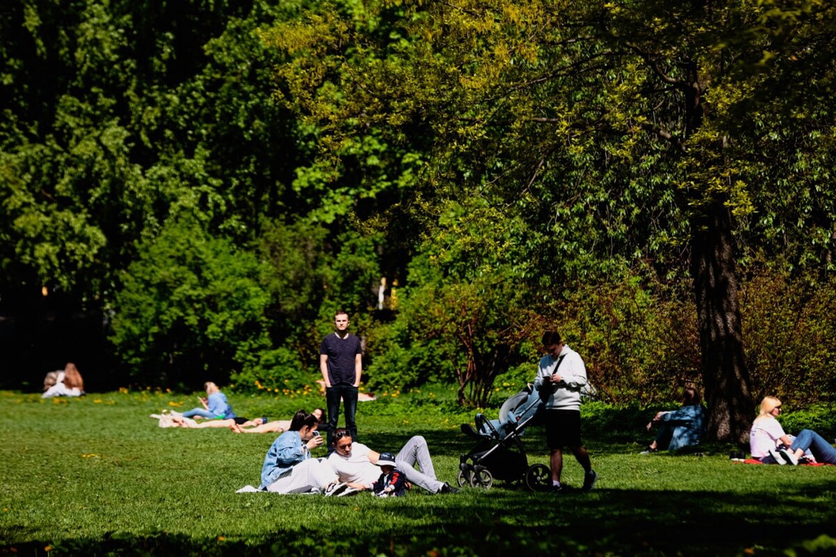 Толпа людей в городе. Люди в городе. В городе преимущественно. Улица для фотошопа. В городе преимущественно.