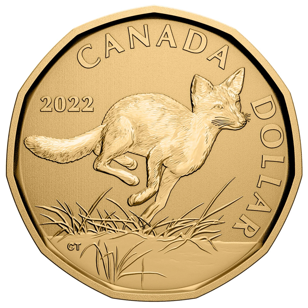 Canada 2022. Канадский доллар 2022. Монета 50 долларов лисы. Canada Dollar Coin 2022. Canada Dollar Coin 2022 Fox.