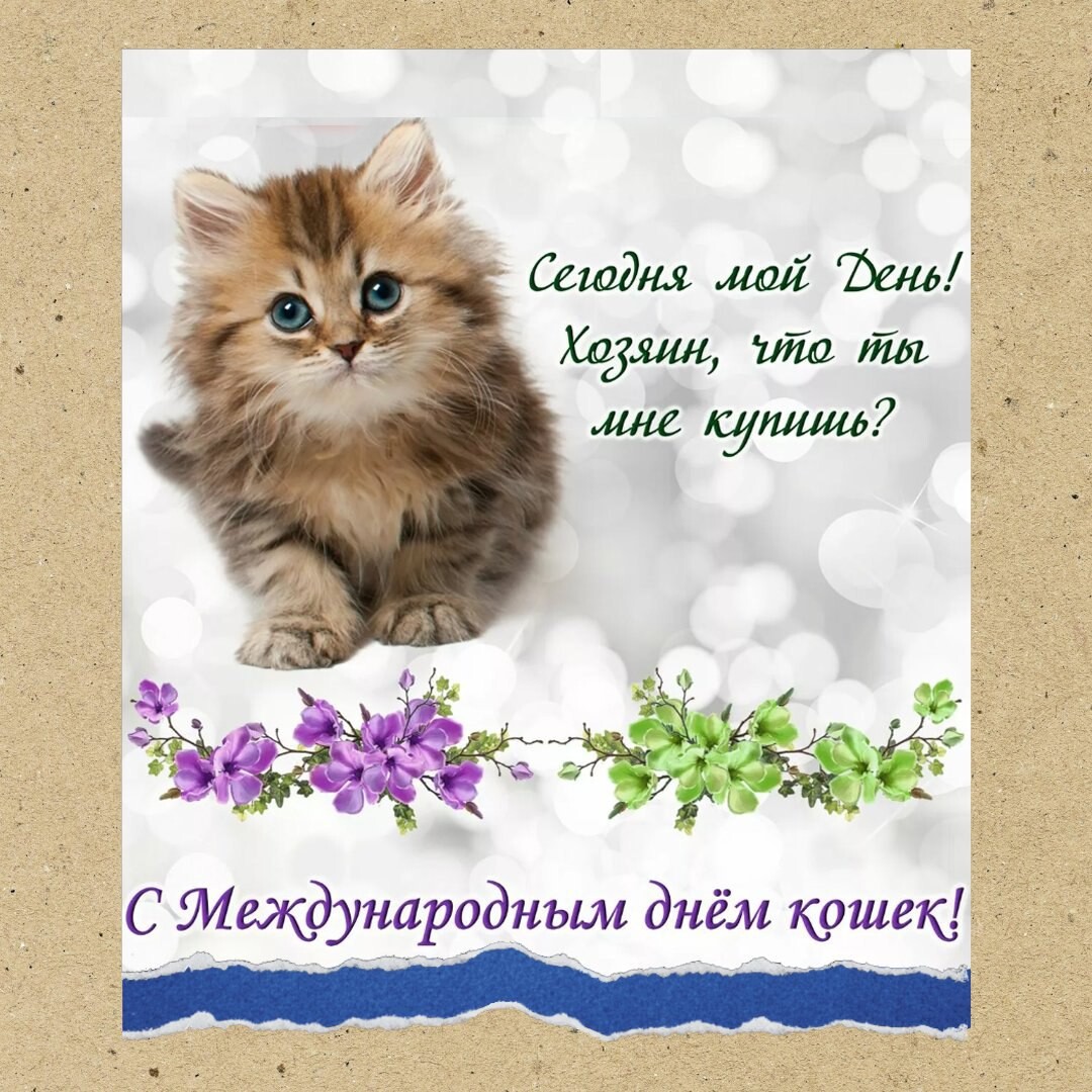 Всемирный день кошек 2023. Всемирный день кошек. Всемирный день кошек 8 августа. Всемирный день кошек открытки.