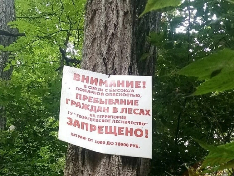 Запрет на посещение лесов. Ограничение посещения лесов. Посещение лесов запрещено. Запрет на посещение лесов жара.