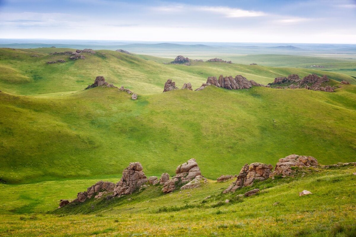 Даурский заповедник Даурский касатики