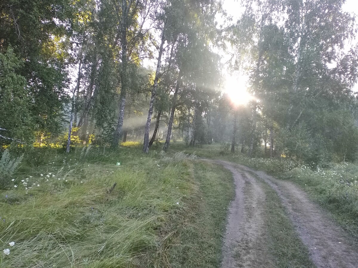 Моя жизнь в курской деревне дзен