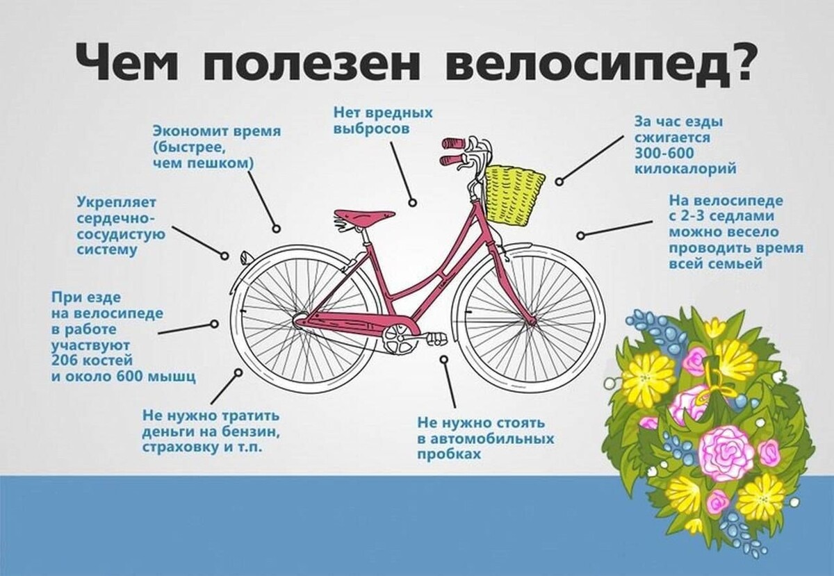 Проект велоспорт и здоровье
