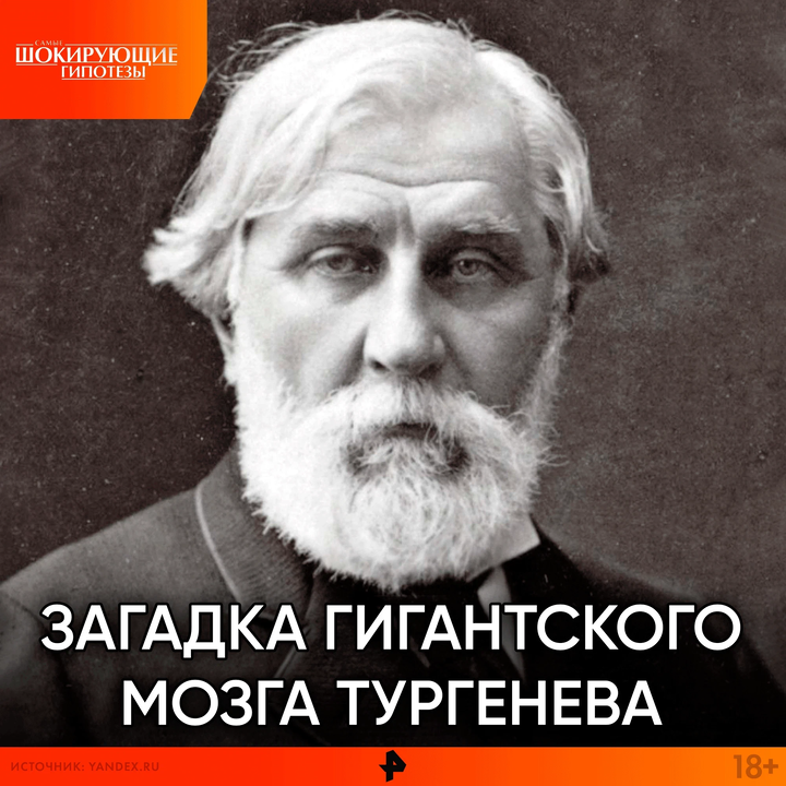 Мозги тургенева. Мозги тургенева