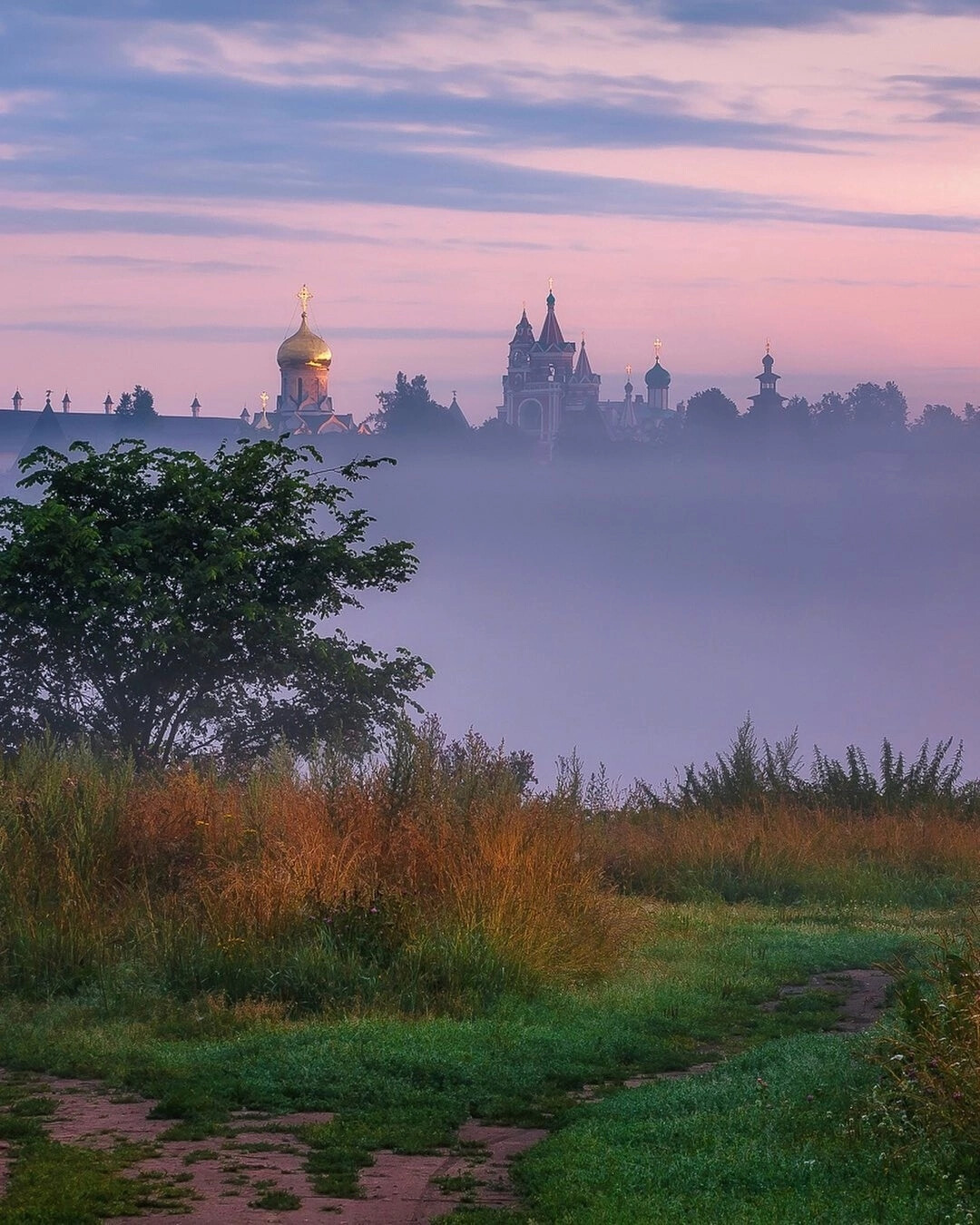 Утро в подмосковье фото