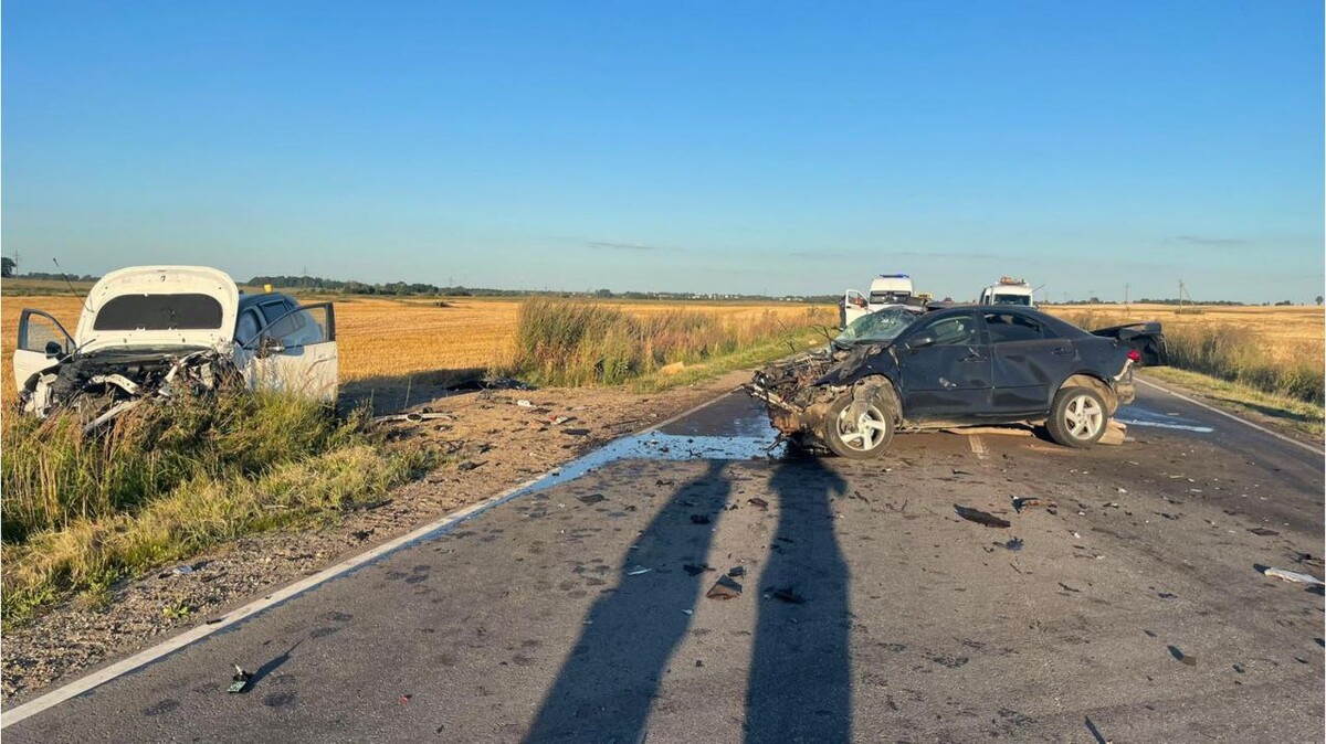 Клопс новости Гвардейск