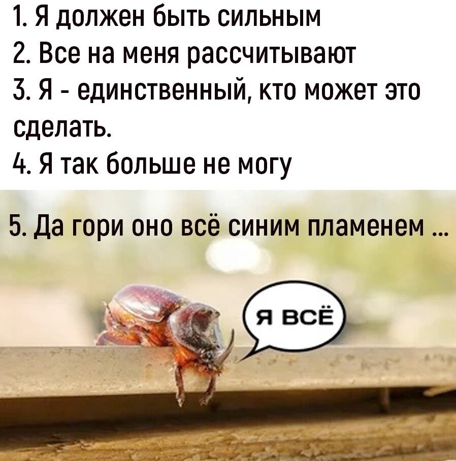 день инструкция