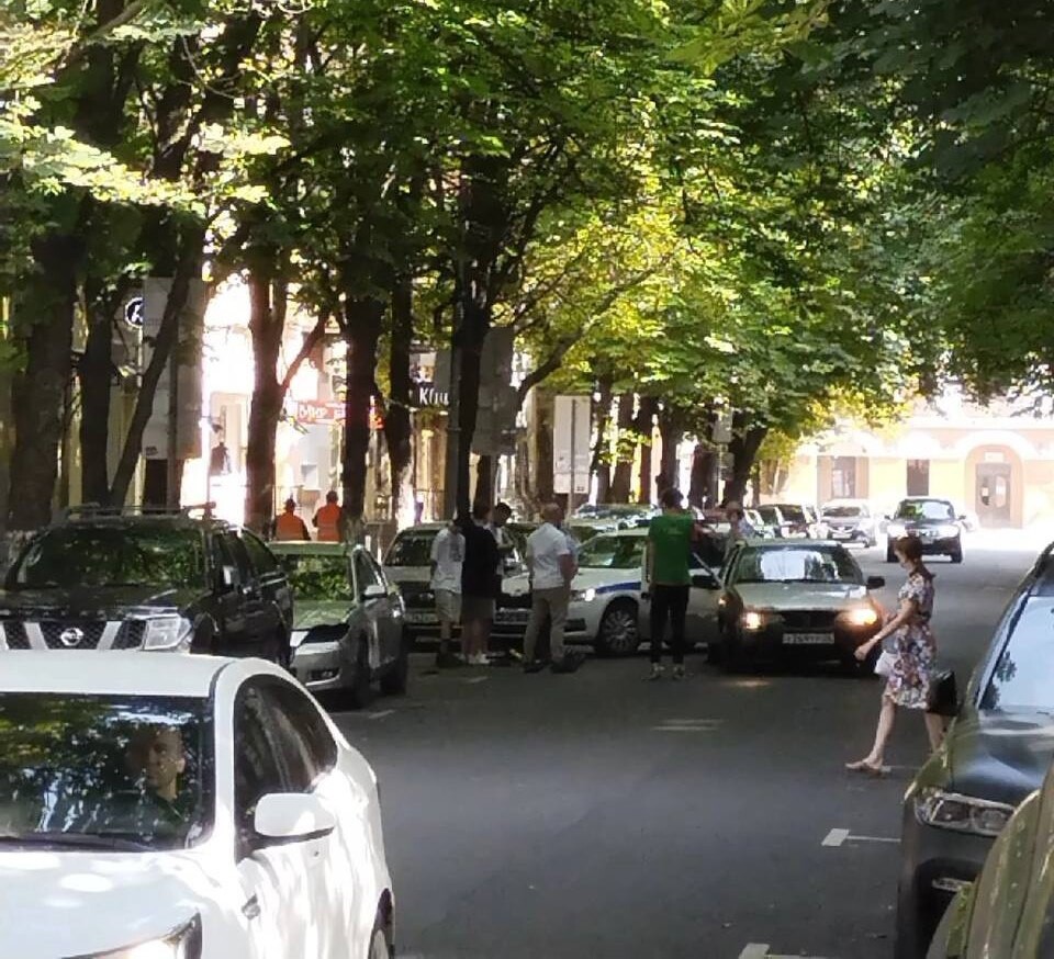 Над каштанами на Комиссаржевской издеваются второй месяц Общество Селдон Новости
