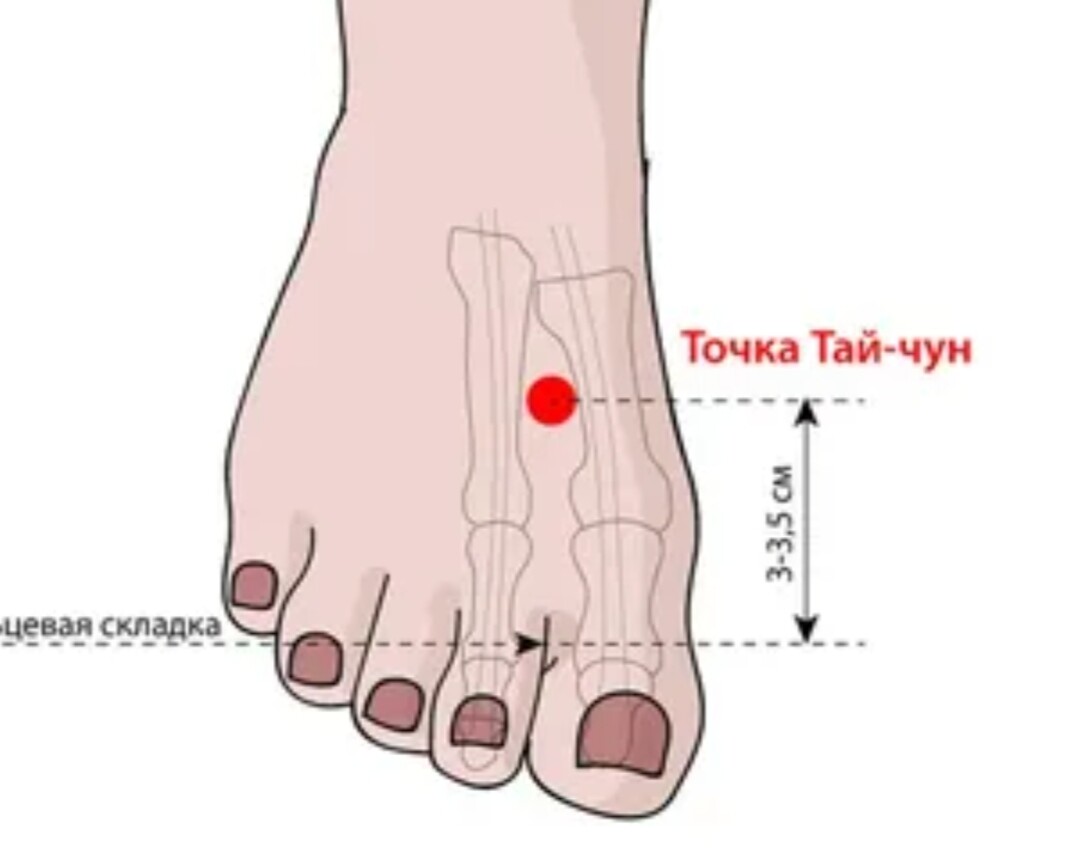 Точка f 1. Точка Тай-Чун канала печени. Точка f3 Тай Чун. Точка Тай-Чун где находится. Точка Тай-Чун канала печени где находится.