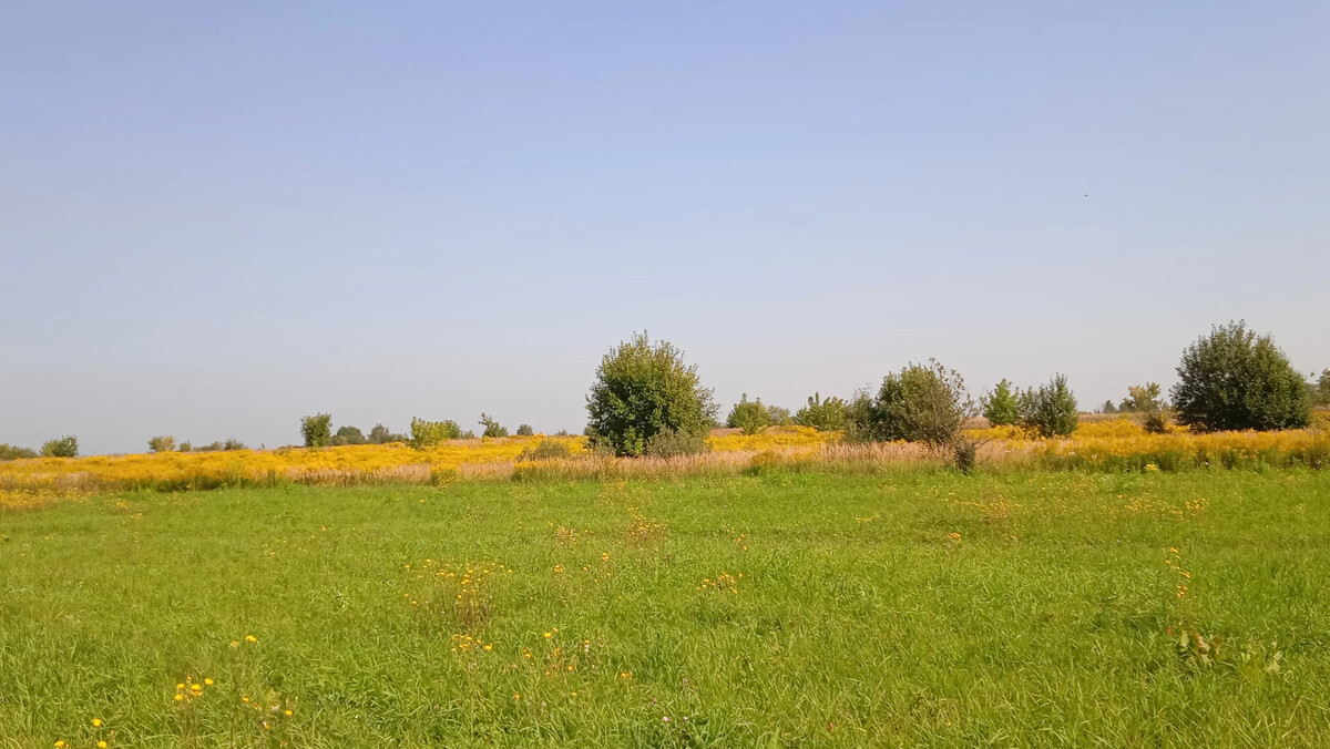 Над полями необъятными над речными. Глубника а поле. Поле 4к. Поля а5. В поле.