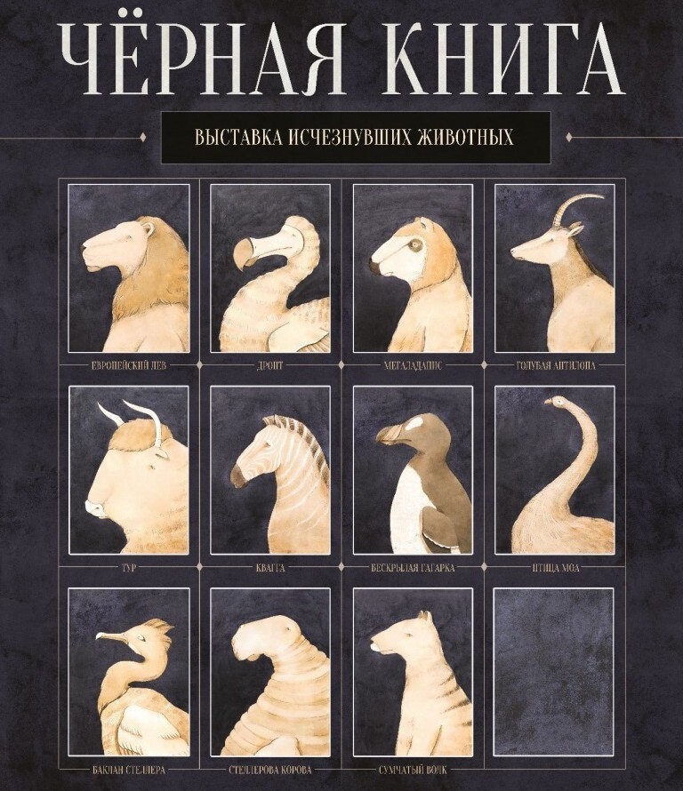 Как выглядит черная книга