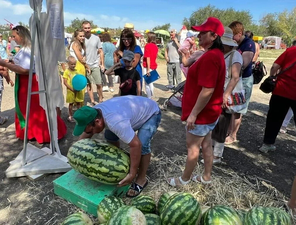 Арбуз волгоградская область камышин пролетарская улица фото
