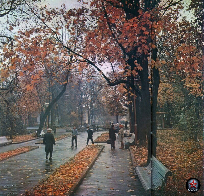 Осенью особенный воздух. Цитаты по осень. Обожаю осень. Осень особенное время. Осенний город.