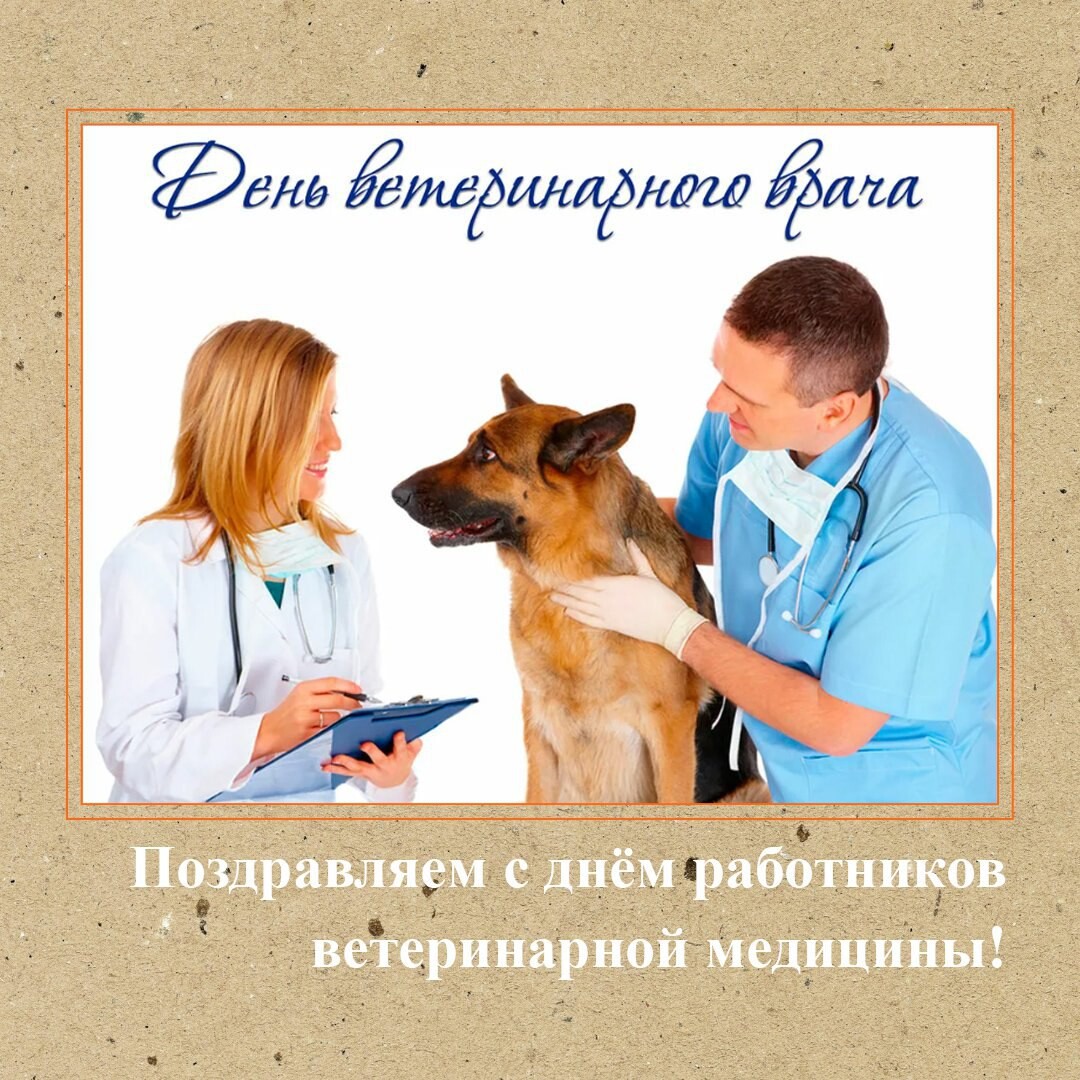 С днем ветеринарного работника картинки