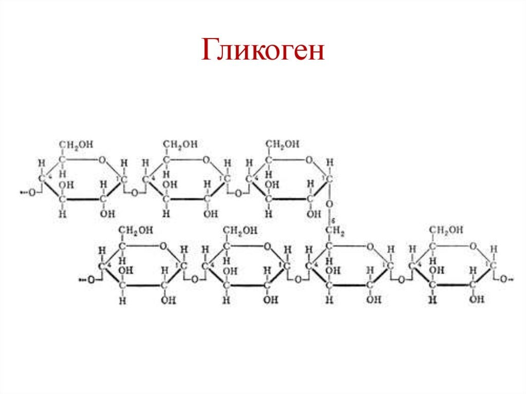 Гликоген презентация по химии 10 класс