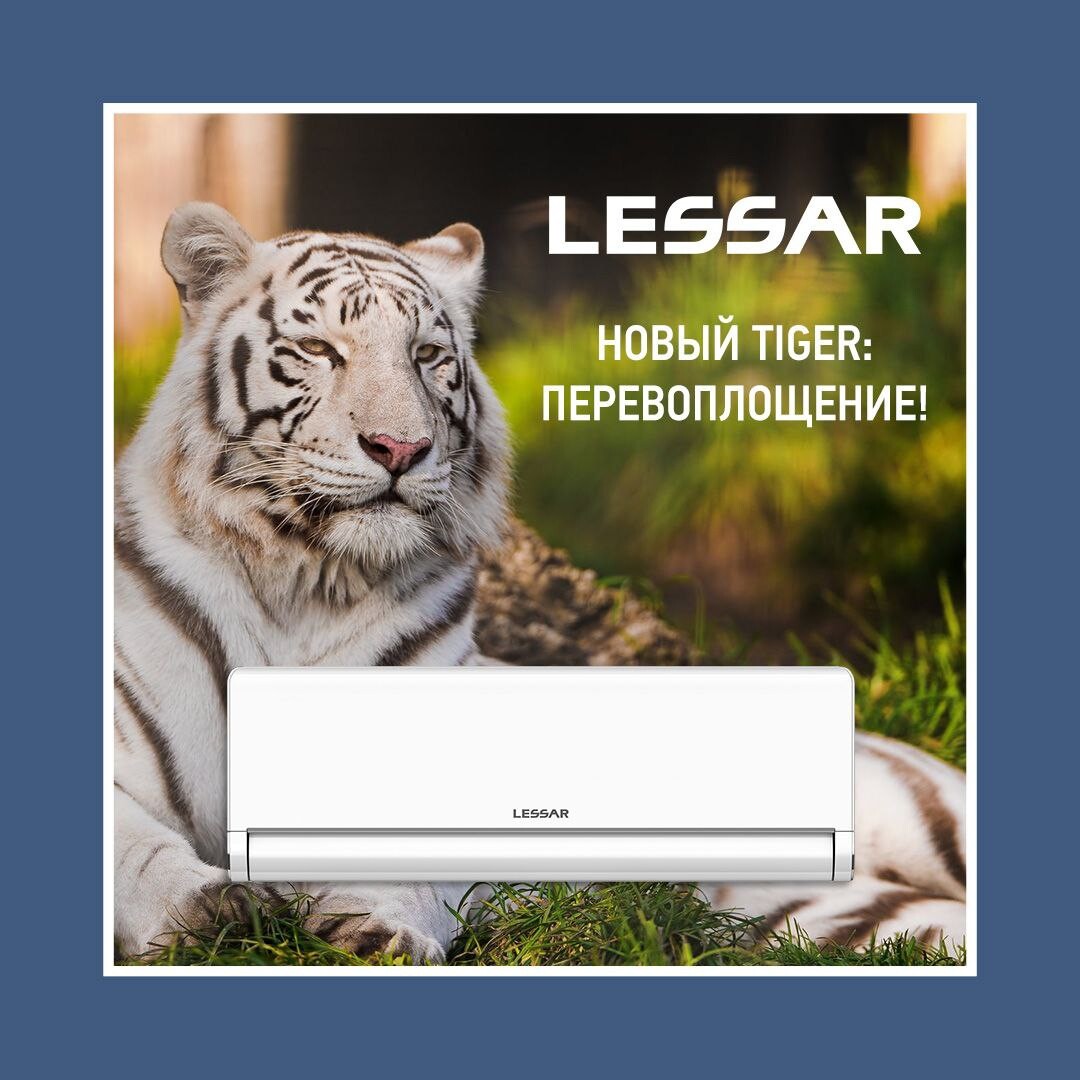 Lessar Tiger New. Dave Williams Tiger Now 2023. Тайгер нова