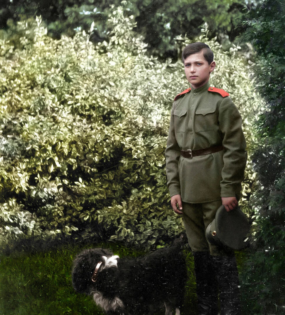 Царевич Алексей 1917