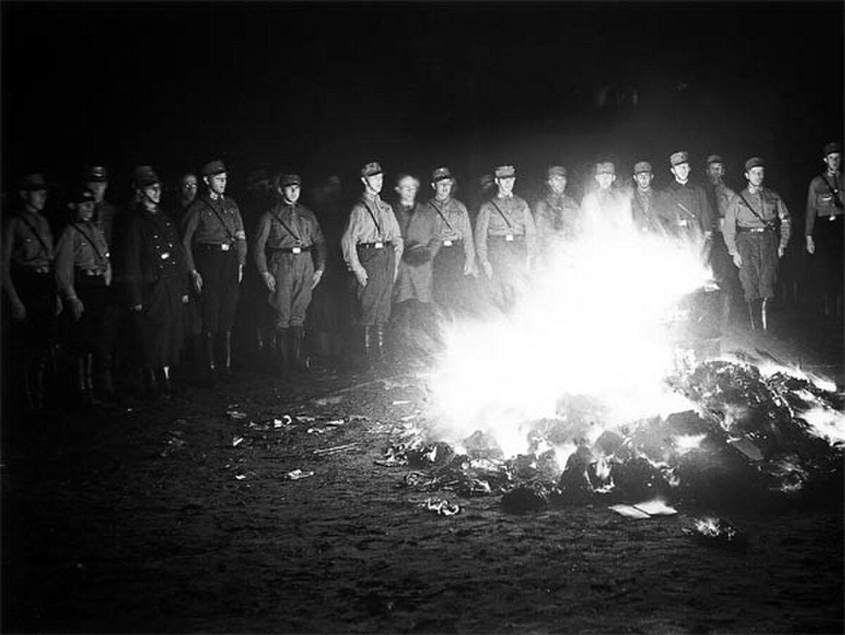 Сожжение книг в нацистской германии