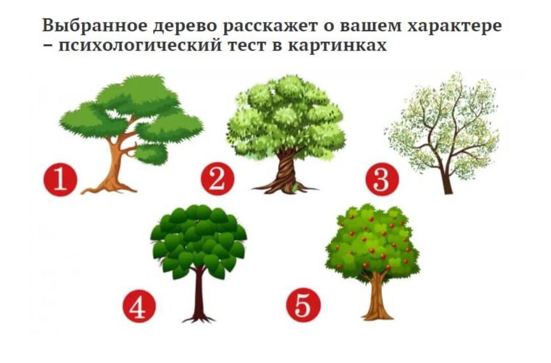 Тесты с выбором картинок психологические