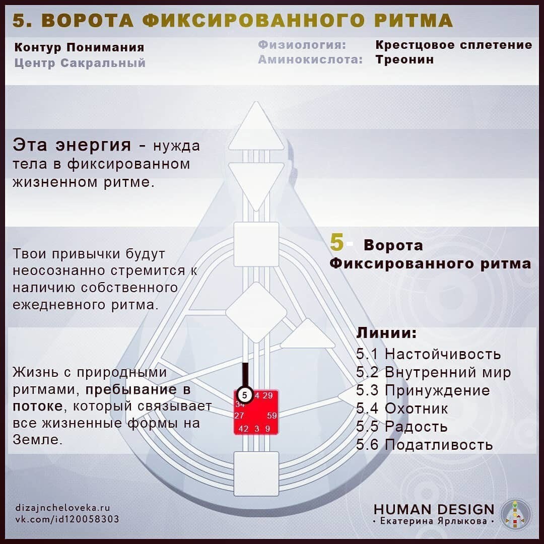 Центры в дизайне человека картинки