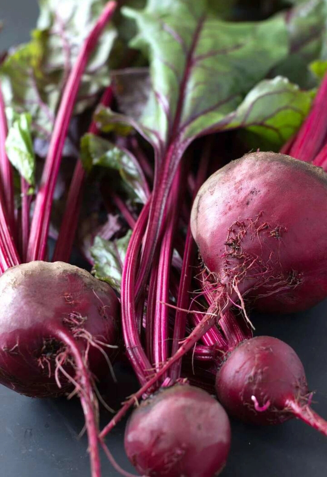 свекла пабло f1 седек. бурак свекла. свекла свекольный. сок буряка. свекла кубанская борщевая.