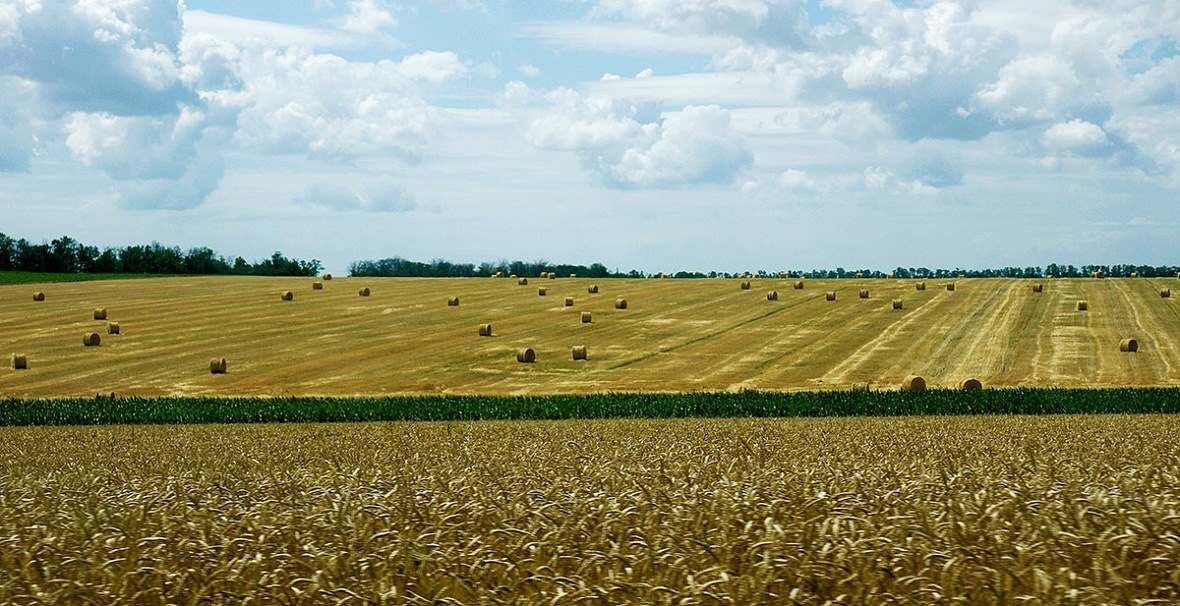 Земель сельхозназначения ростовской области. Паи земли сельское хозяйство. Земельный пай. Паевые земли сельхозназначения. Земли сельхозназначения.