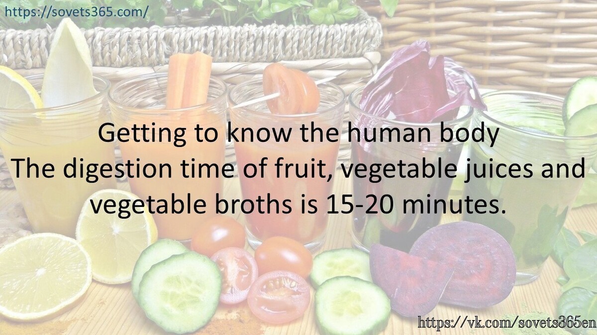 Getting to know the human body The digestion time of fruit, vegetable