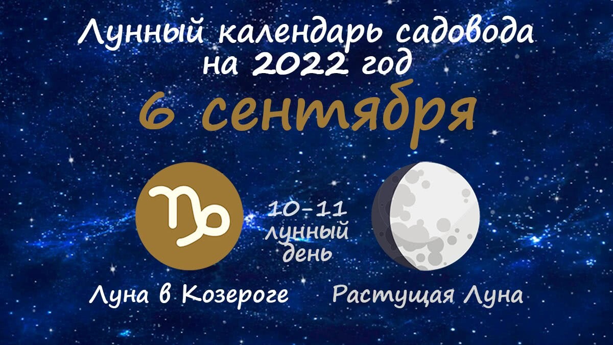 Растущая луна в январе 2024