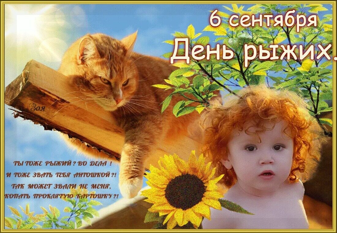 День рыжих людей поздравления картинки