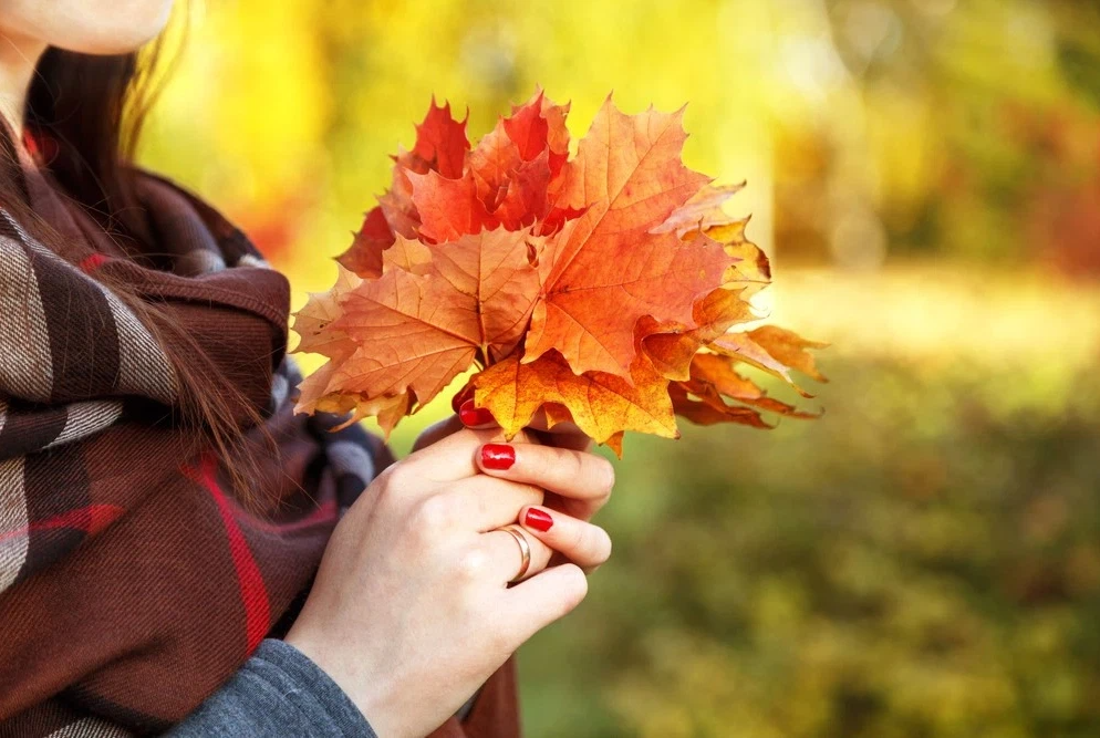 Даже самой теплой осенью листья. Осенняя женщина. Осенние листья в руках. Лист в руке. Осенние листья в руках девушки.