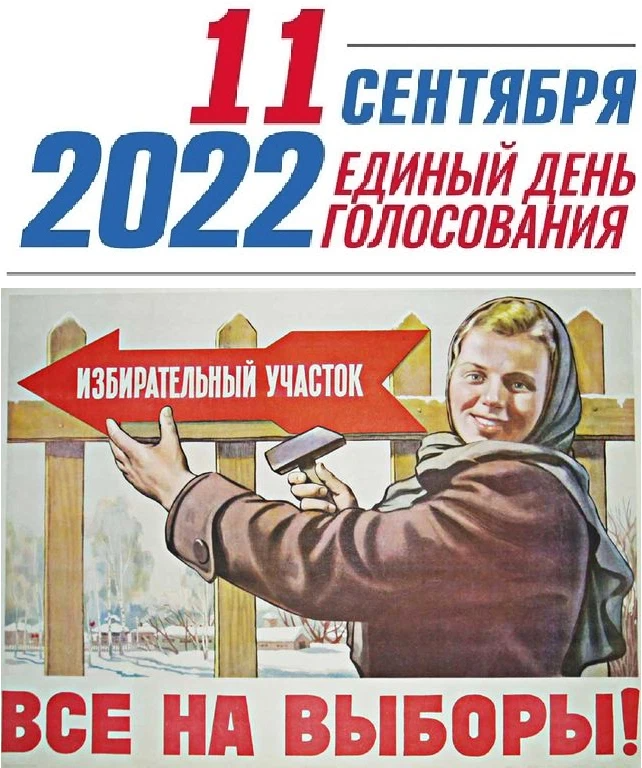 Я молодой избиратель. Зачем идти на выборы. Можно ли не идти на выборы. Выборы презентация. Иду на выборы.