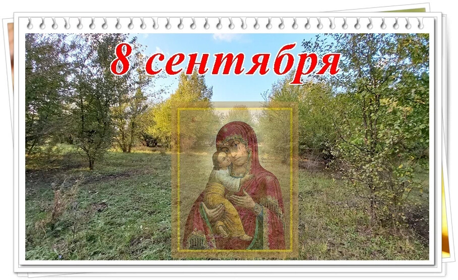 8 сентября праздник фото Мои шаги к здоровью