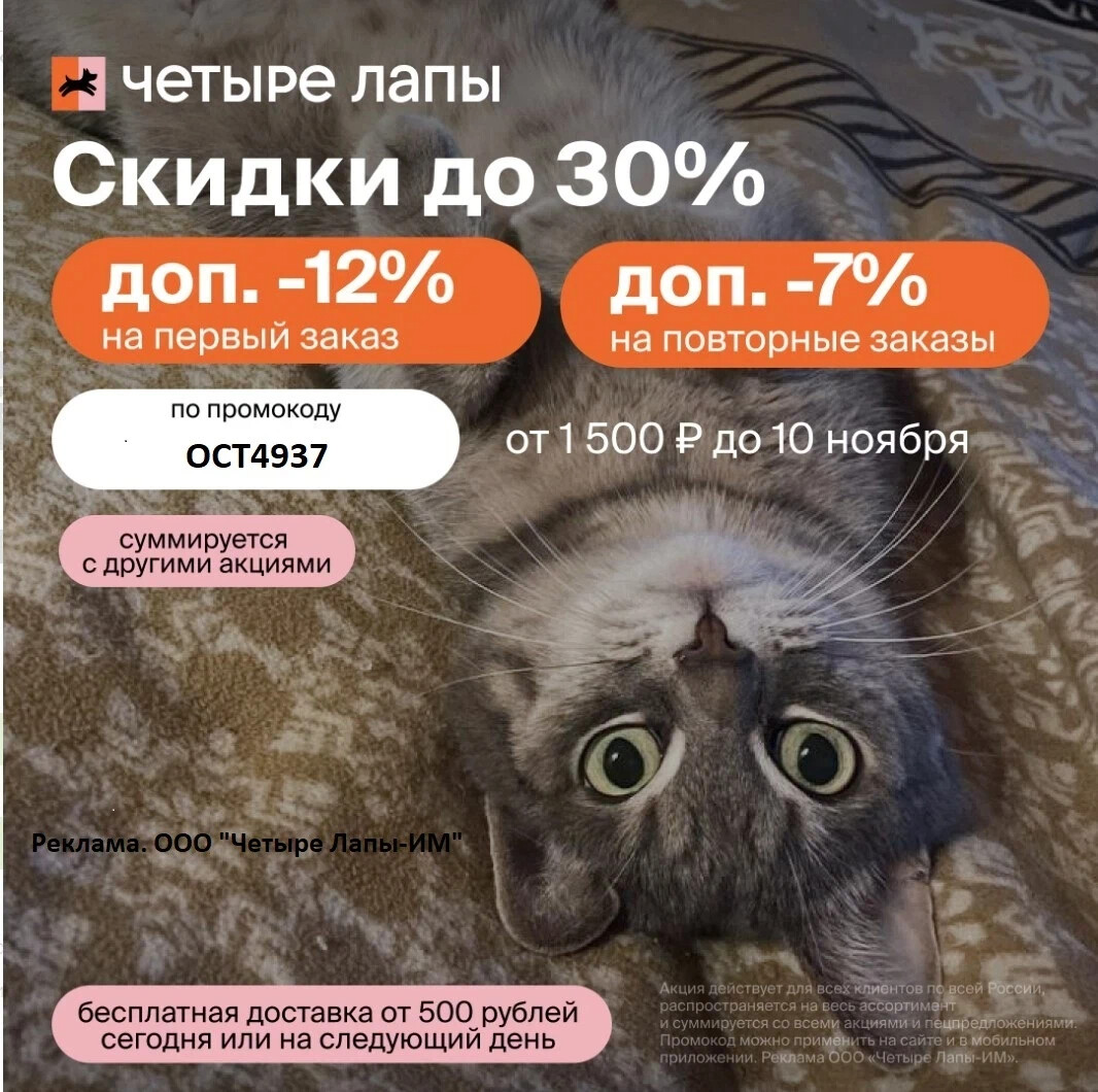 Четыре лапы скидка. Кролик ноябрь. Скидка 10% при записи на декабрь.