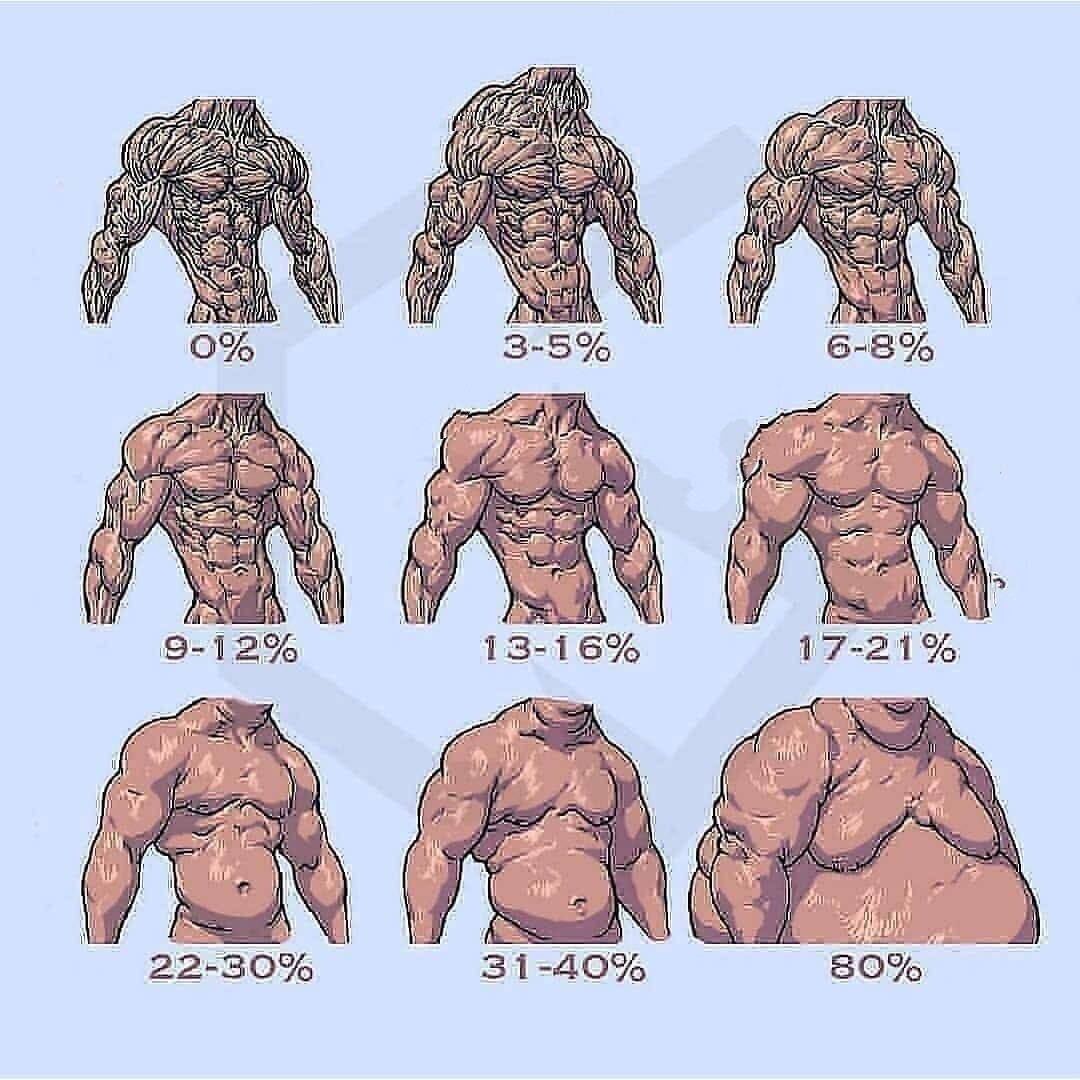 Мужское тело процент жира