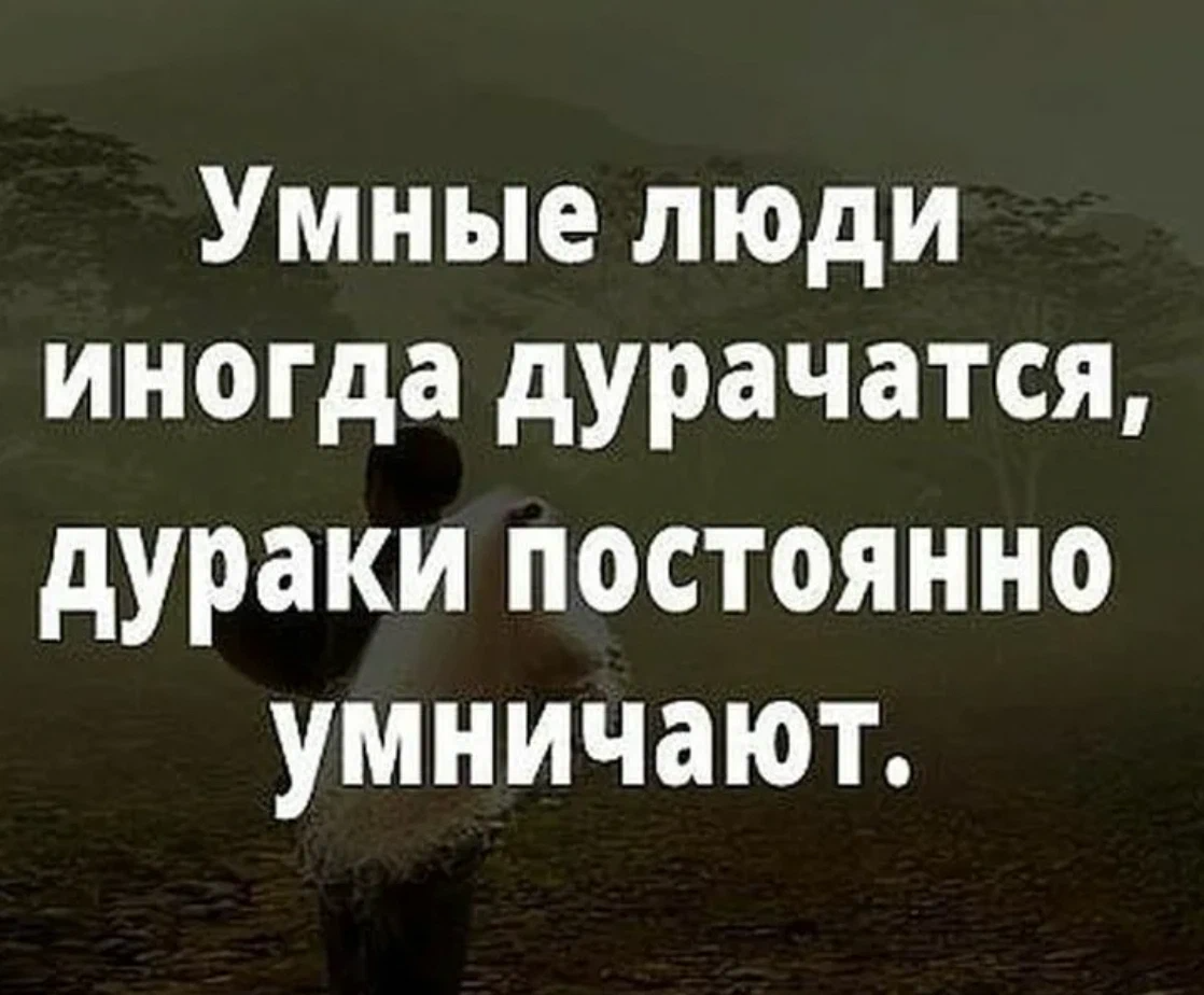 Мудрые высказывания про дураков. Один мудрый человек сказал. Афоризмы про умных и дураков. Высказывания о дураках. Афоризмы про умных и дураков.