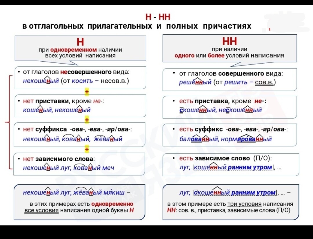 1 и 2 нн в отглагольных прилагательных. Отглагольные прилагательные н и НН. Линованный как пишется НН. Доморощенные как пишется НН почему. Две НН как пишется в суш.