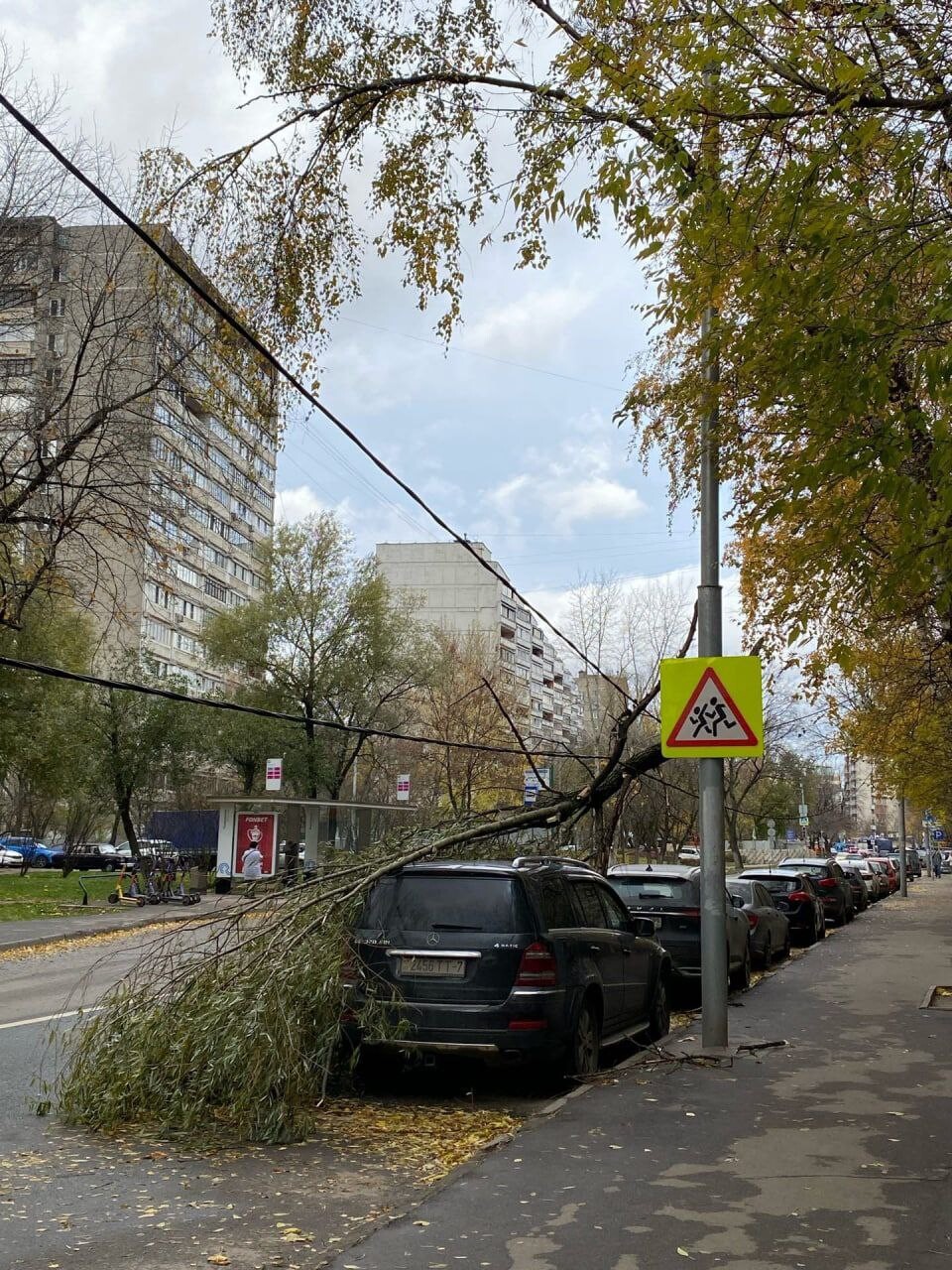 Сильный дождь. Москва ливень 26 июля. Вчерашний ветер в москве. Вчерашний ветер в москве. Деревья москвы.