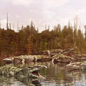 lazy_smart_crop_356x356