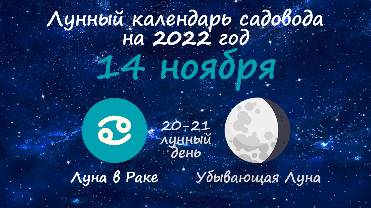 Растущая луна в январе 2024