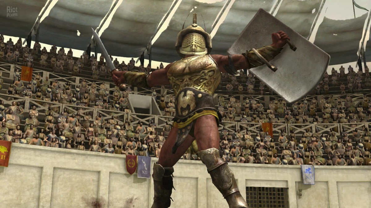 Где найти гладиатора. Гладиаторские бои в Риме. Гладиаторские бои в древнем Риме.