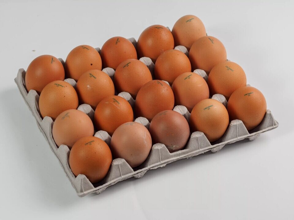 Куриные яйца. Упаковка для яиц. Один десяток яиц. Один десяток яиц. Яйцо куриное со 10 шт.